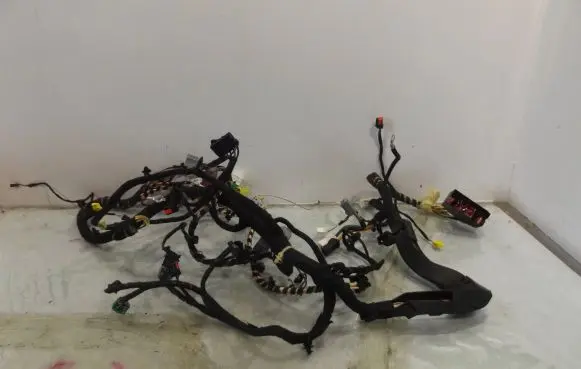 Ford Fiesta Other wiring loom