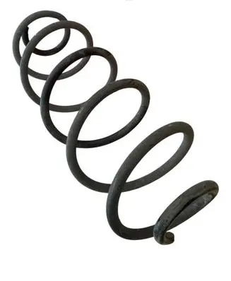 Rear coil spring