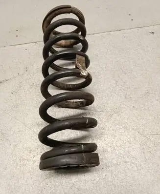 Rear coil spring