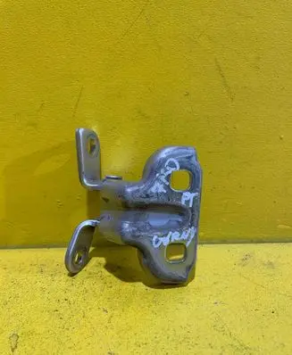 Chevrolet Orlando Rear door lower hinge 1244574324