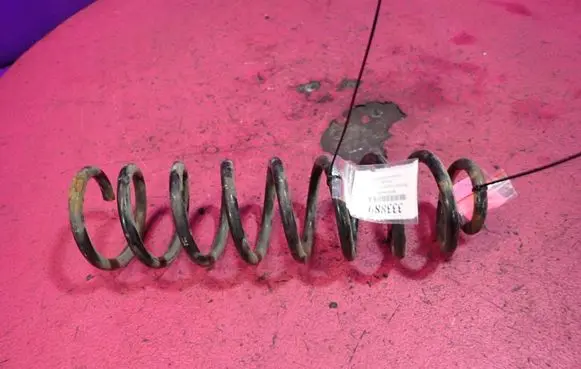 Rear coil spring