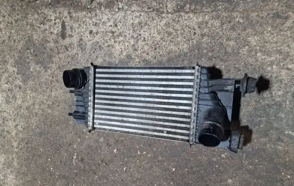 Nissan Juke I F15 Intercooler radiator 144611KB2A