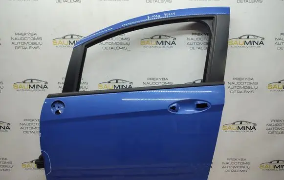 Ford B-MAX Front door