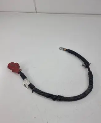 Nissan Leaf I (ZE0) Positive cable (battery) 241053nl0a2
