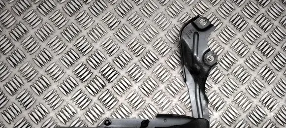 Engine bonnet/hood hinges