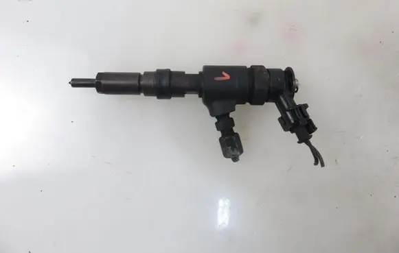 Peugeot 206 Fuel injector 0445110252