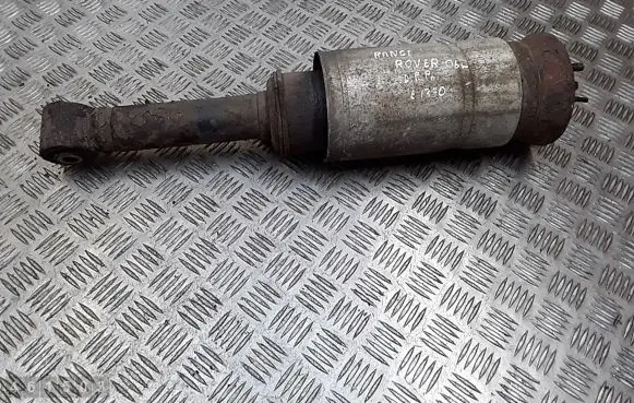 Land Rover Range Rover Sport L320 Front shock absorber/damper 3498720