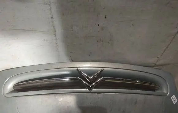 Citroen Xsara Picasso Front grill