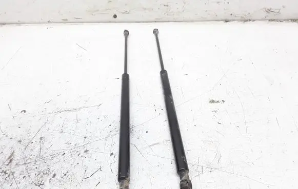 Renault Scenic II - Grand scenic II Tailgate/trunk strut/damper
