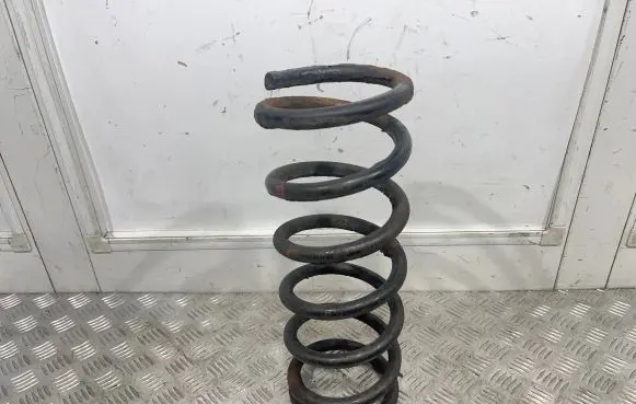 Nissan Pathfinder R51 Rear coil spring