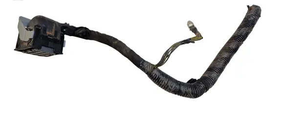 Ford Edge II Other wiring loom 123110822 0321 20330