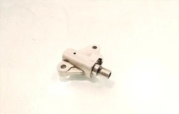 Hyundai Santa Fe Timing belt/chain tensioner F446907