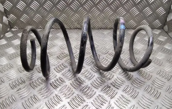 Front coil spring