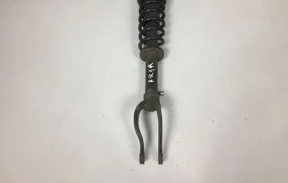 BMW X6 E71 Front shock absorber/damper 6775086