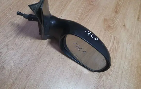 KIA Carnival Manual wing mirror 012107 022107