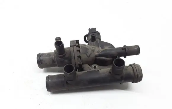 Thermostat/thermostat housing