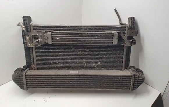 Mercedes-Benz B W245 Radiator set A1695002693