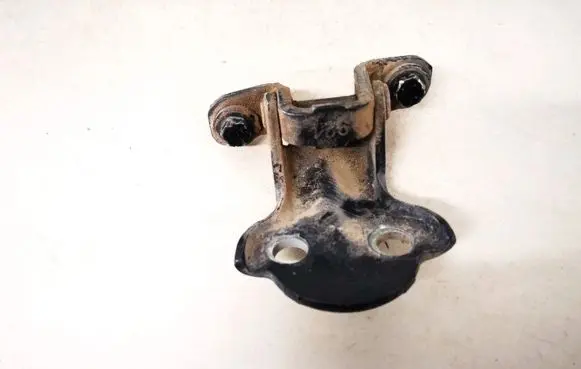 Volvo S40, V40 Rear door lower hinge