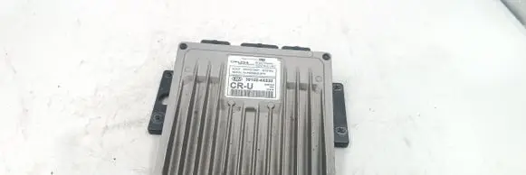 KIA Carnival Engine control unit/module 391024X520 81079C R0410C045F