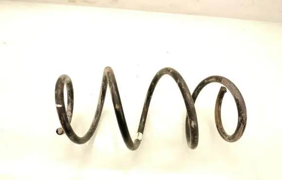 Rear coil spring