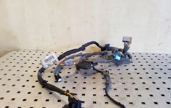 Rear door wiring loom