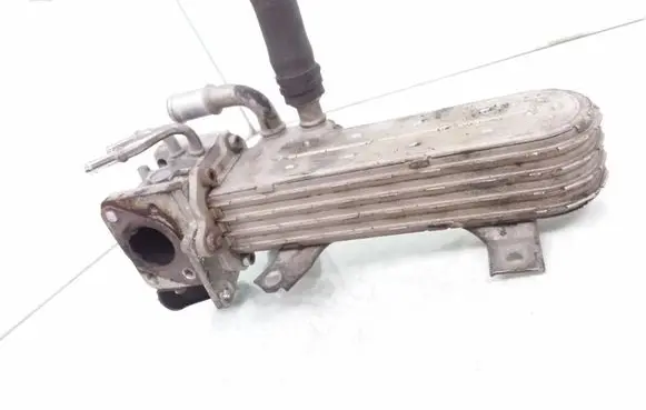 Skoda Octavia Mk2 (1Z) EGR valve cooler 038131513AD
