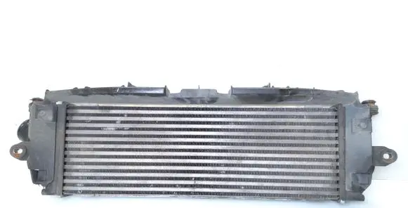 Renault Trafic II (X83) Intercooler radiator 8200411160C