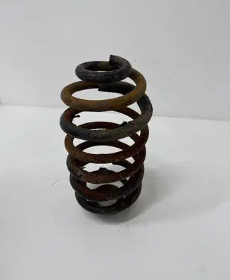 Rear coil spring