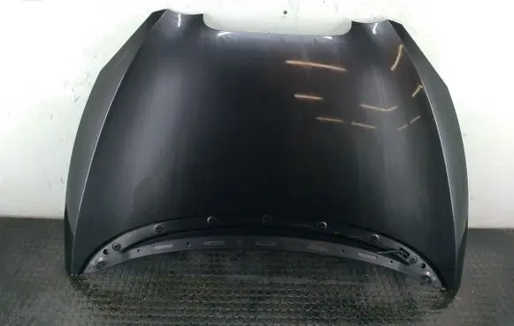 Seat Toledo III (5P) Engine bonnet/hood LS9N