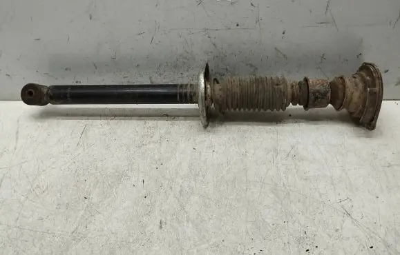 Volkswagen PASSAT B5 Rear shock absorber/damper 373410EGT 201210