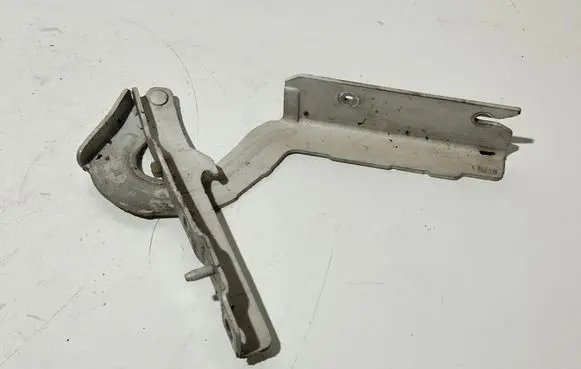 Fiat Scudo Engine bonnet/hood hinges 1499346080