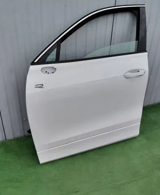 Volkswagen Tayron I Front door