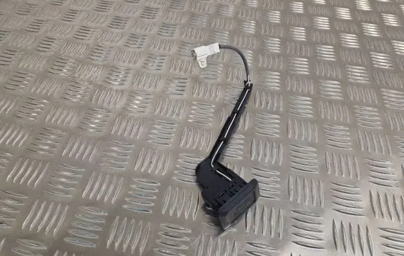 Toyota RAV 4 (XA50) Tailgate/boot open switch button 