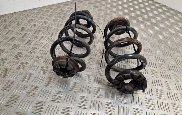 Rear coil spring