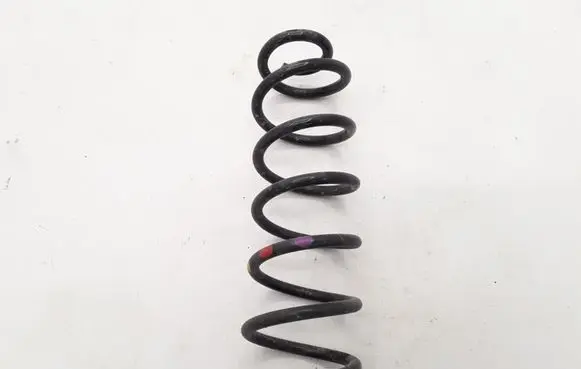 Renault Megane IV Rear coil spring 550201804R
