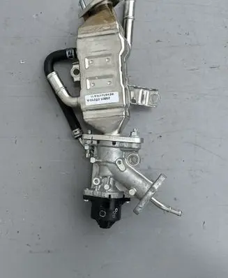 EGR valve
