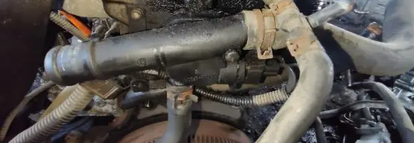 Volkswagen Golf IV Engine coolant pipe/hose