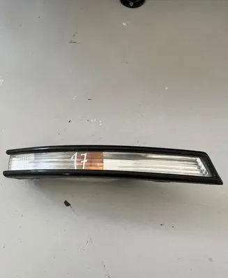 Volkswagen PASSAT B6 Front indicator light 3C0953042L