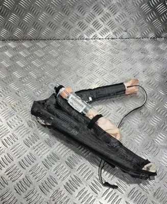 Roof airbag