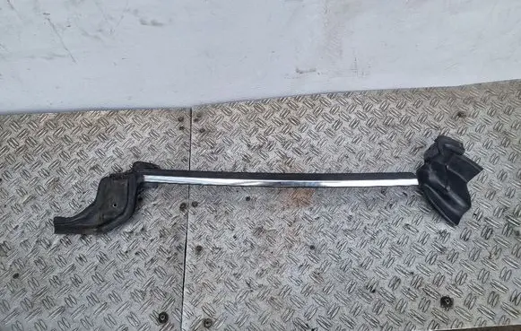 Ford Focus Rubber seal rear door window/glass 