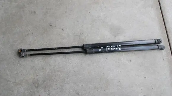 Tailgate strut