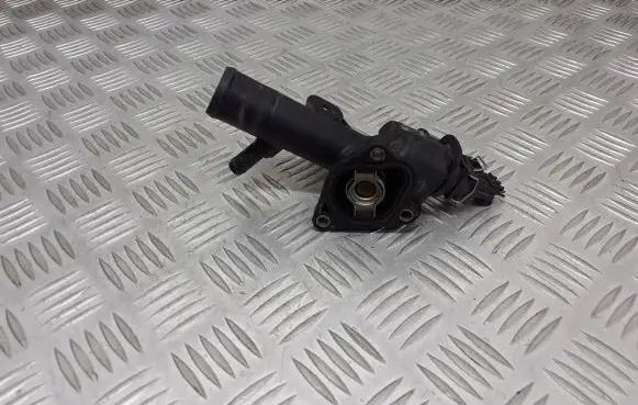 Renault Clio II Thermostat housing 244402V2484