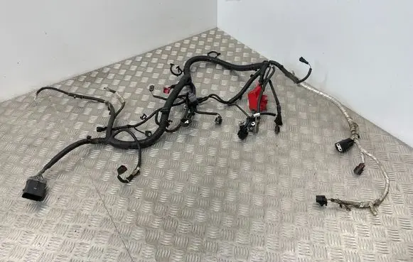 Ford Mondeo MK V Engine installation wiring loom DG9T14A280 1300661800
