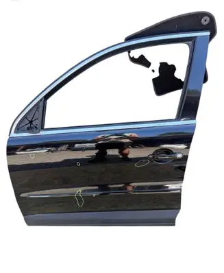 Volkswagen Tiguan Front door BRAK