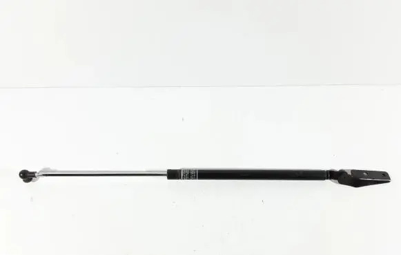 Tailgate/trunk strut/damper