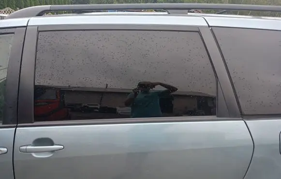 Toyota Sienna XL20 II Rear door window glass