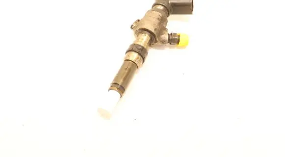 Citroen C3 Fuel injector