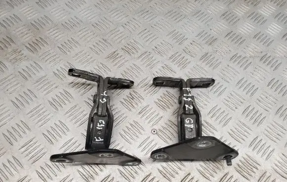 BMW X5 F15 Loading door hinge set 7352697