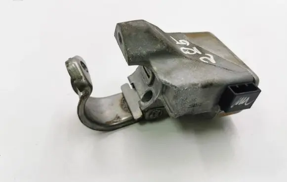 Steering wheel lock