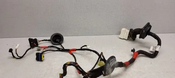 Hyundai Sonata Front door wiring loom 916003K130